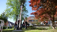 2026-04 Maibaum stellen Unterentersbach (9)